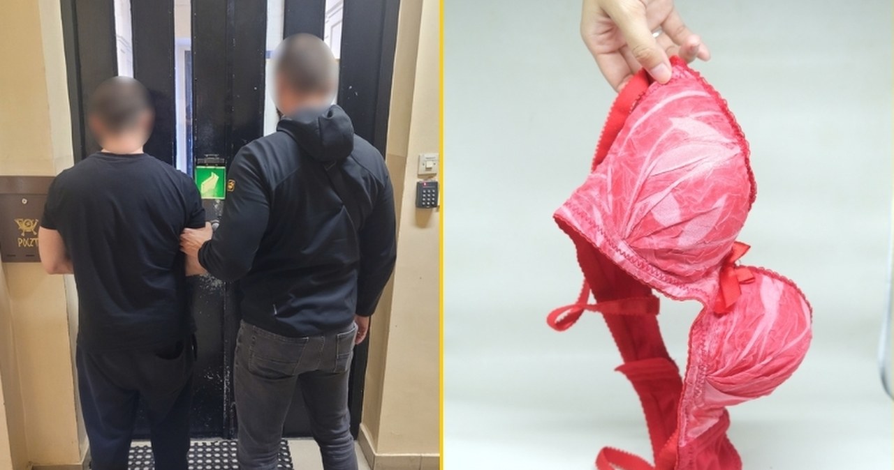 Ukradł bieliznę za 60 tys. zł. Nie zrobił tego dla ukochanej