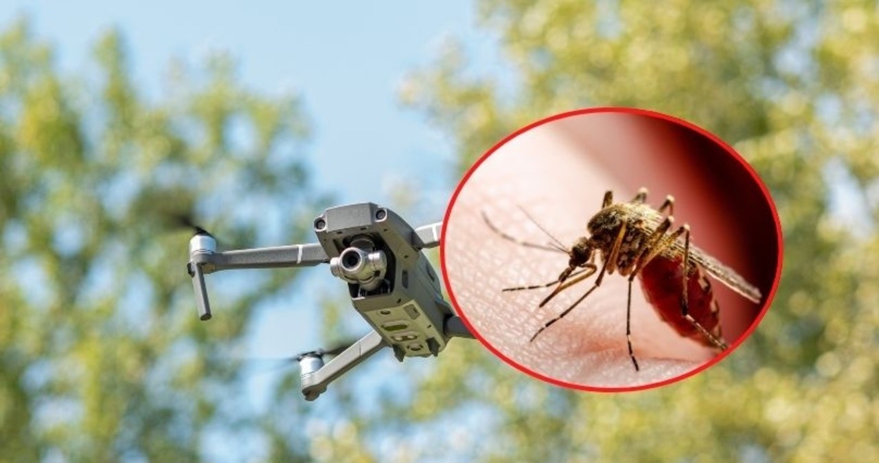 Dron kontra komary. Wrocław walczy z uporczywymi owadami