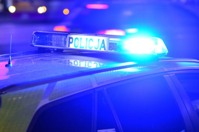 Policjanci postrzelili amstaffa. Nocna interwencja w Zgierzu
