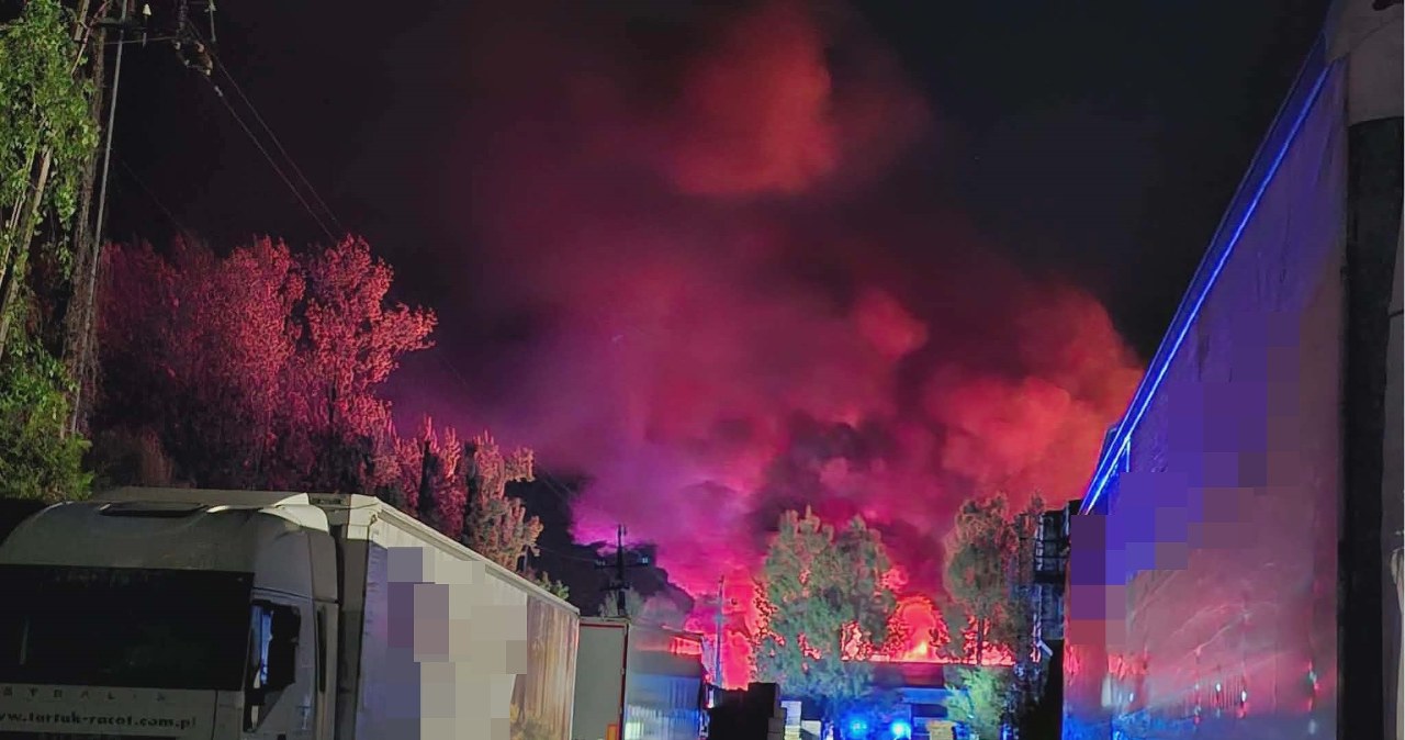 Hala tartaku stanęła w ogniu. Potężny pożar w Wielkopolsce