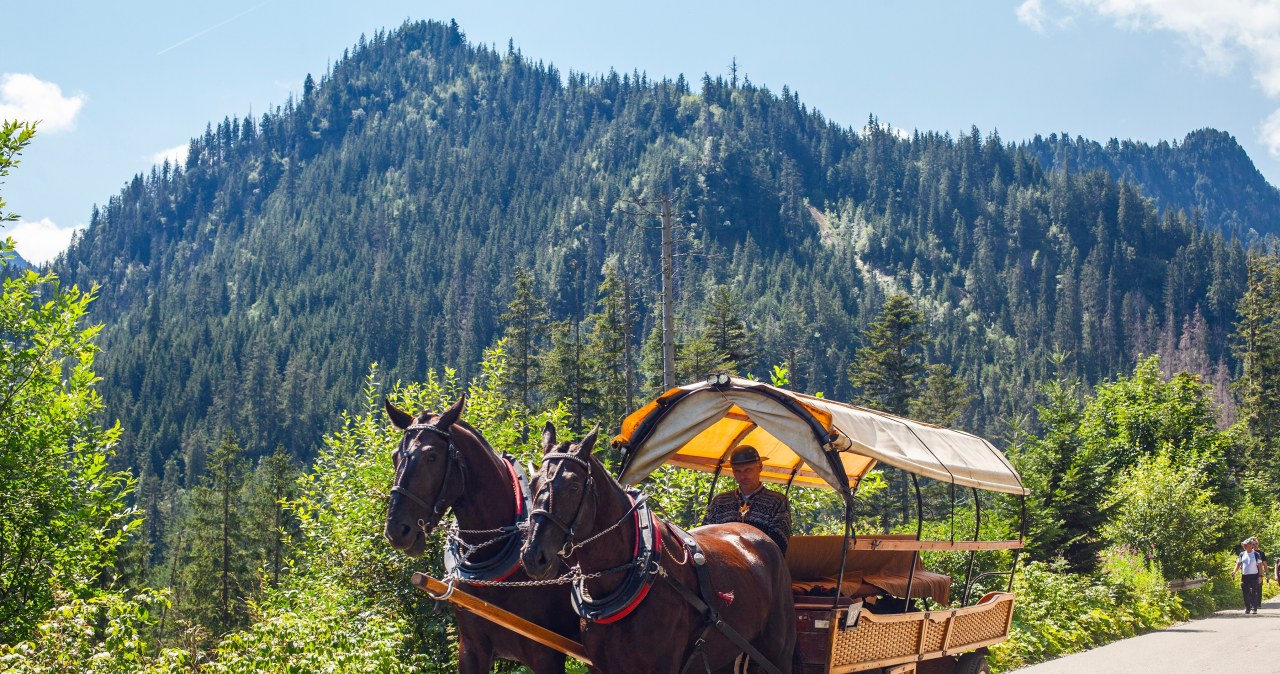 "Dramat" nad Morskim Okiem. Wozy konne odjechały, turyści zaskoczeni