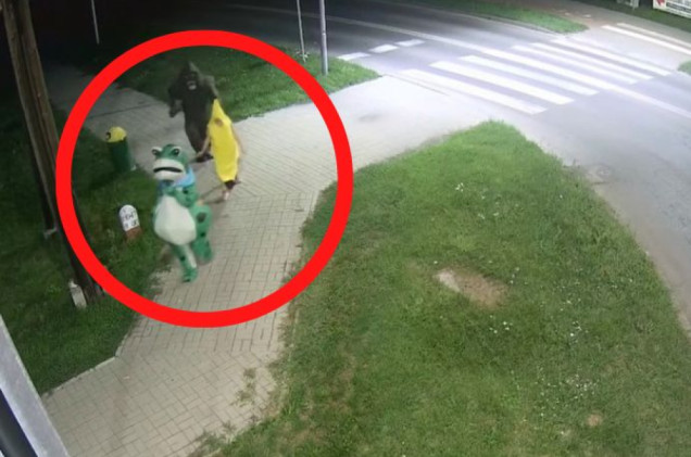 Goryl, żaba i banan przechadzali się po Włodawie. Niecodzienne nagranie z monitoringu
