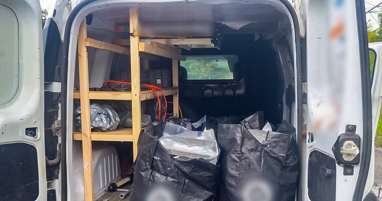 Narkotyki warte fortunę: 57-latek wpadł z ogromną ilością konopi