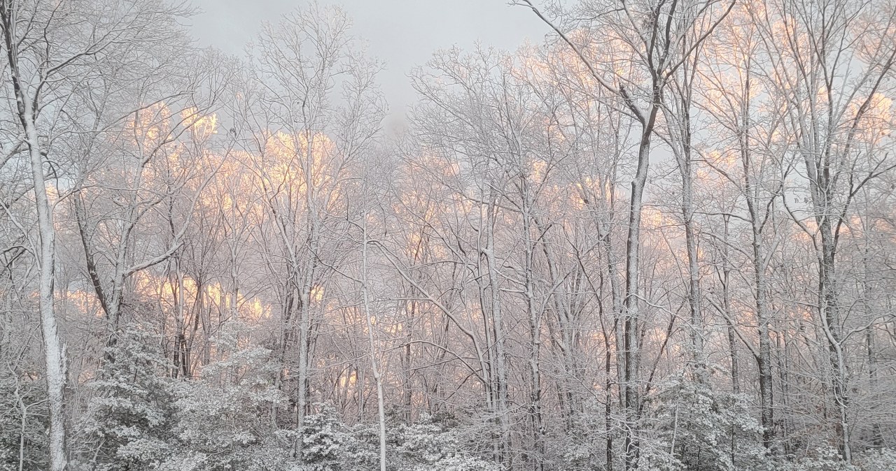 Ekstremalne mrozy w Kanadzie. Czy Europie grozi podobny atak zimy?