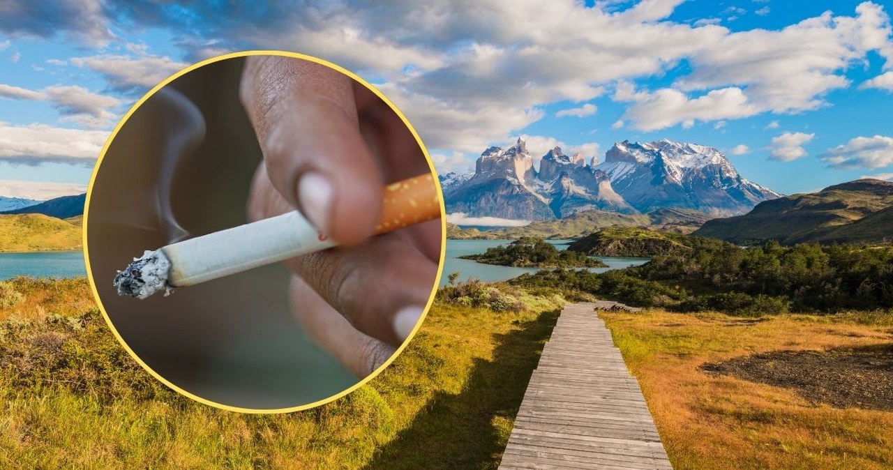 Papieros wart fortunę. Polak ukarany gigantyczną grzywną w Chile