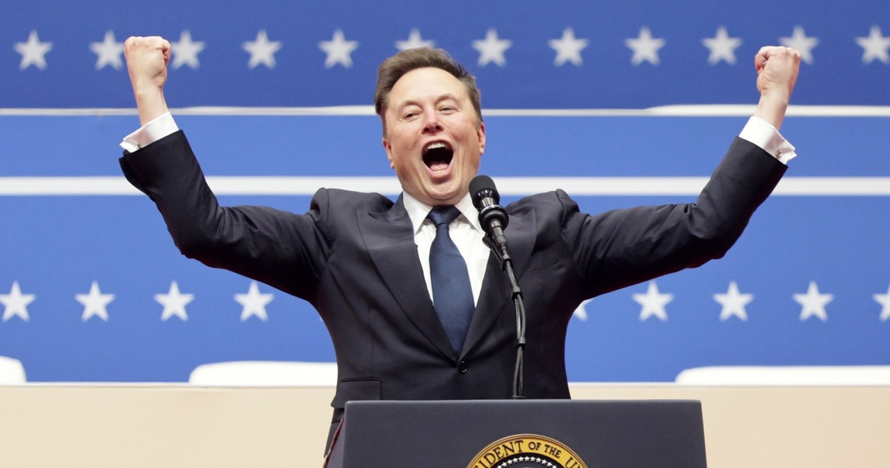 "Wstyd, głupi Schitz!". Musk znów obraża kanclerza Niemiec