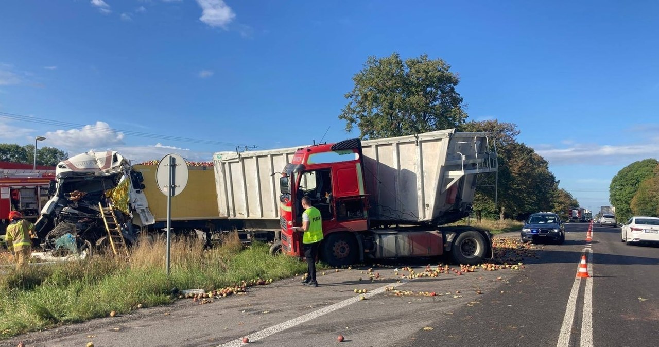 Towar wysypał się na drogę, kierowca zginął. Wypadek tirów na Lubelszczyźnie