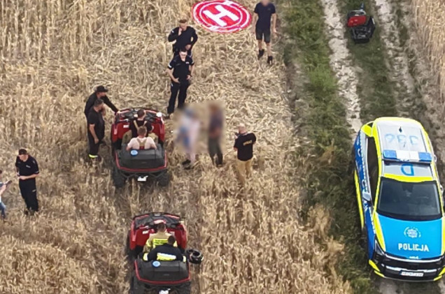 3,5-latek zaginął w kompleksie leśnym. Tym razem finał był szczęśliwy