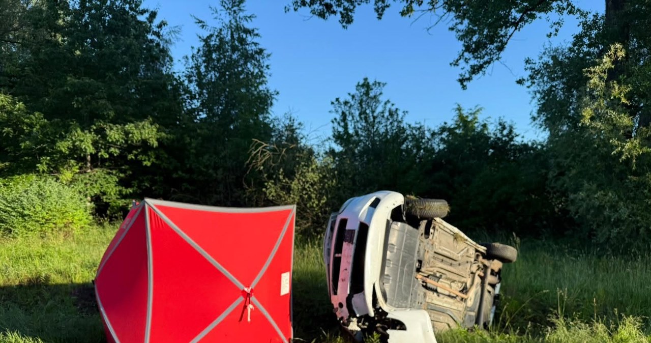 Rodzinna podróż zakończyła się tragedią. Samochód zderzył się z dzikiem