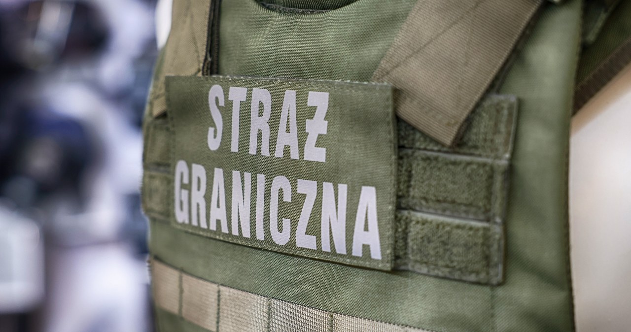 Kary za przestępstwa czy brak dokumentów. Kolejni Gruzini deportowani