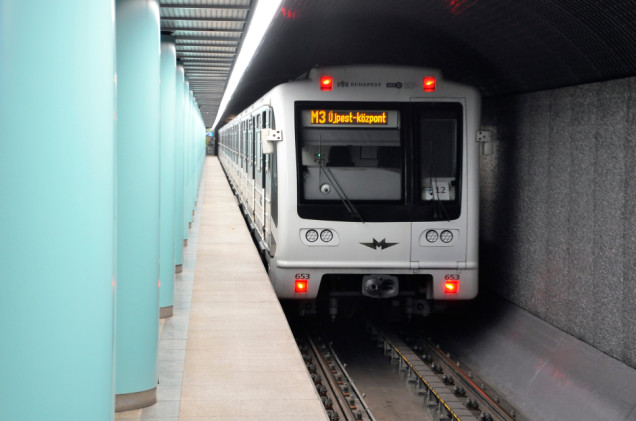 Dzik zablokował ruch metra w Budapeszcie