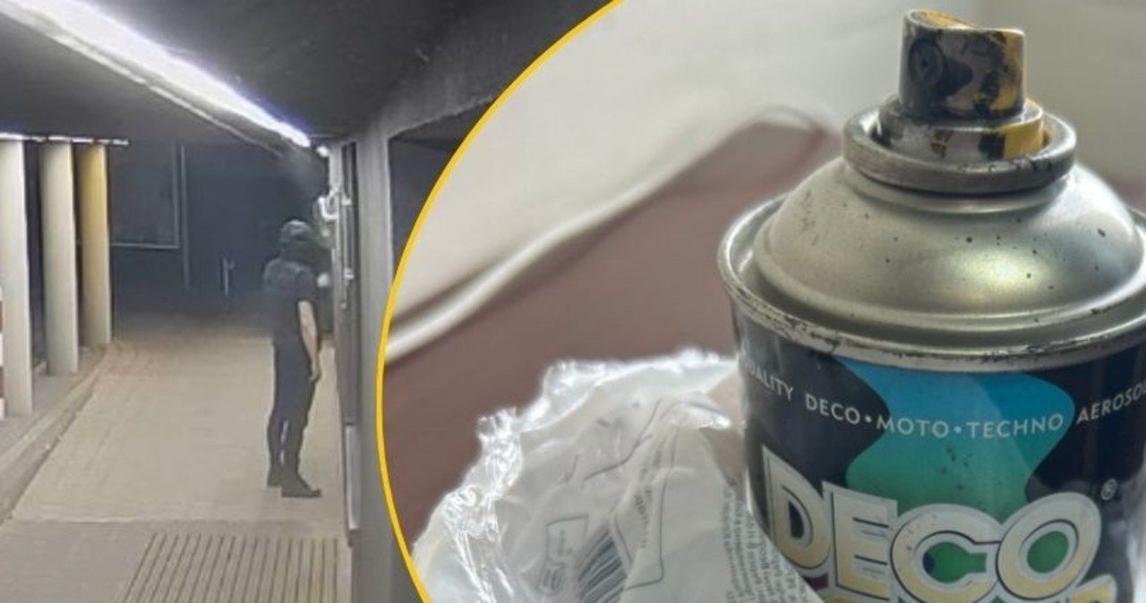 Wandal wpadł. Policja szuka jego wspólników