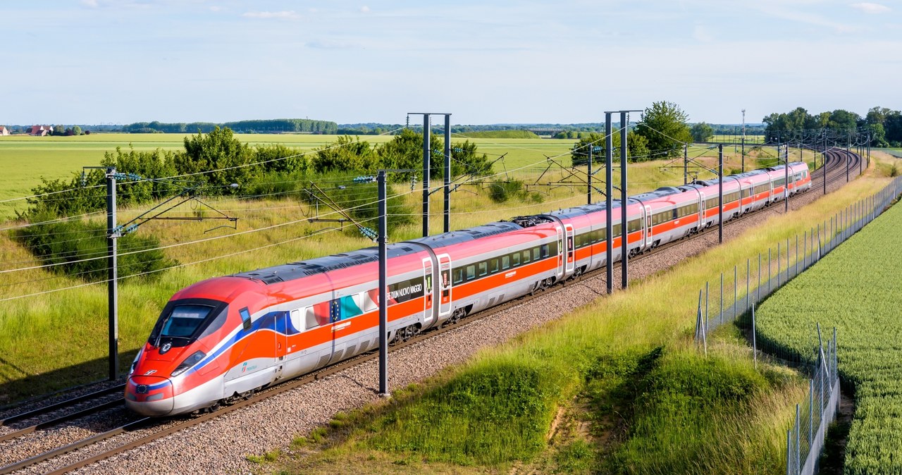 Wąż, który jeździł koleją. Panika w pociągu i ewakuacja pasażerów