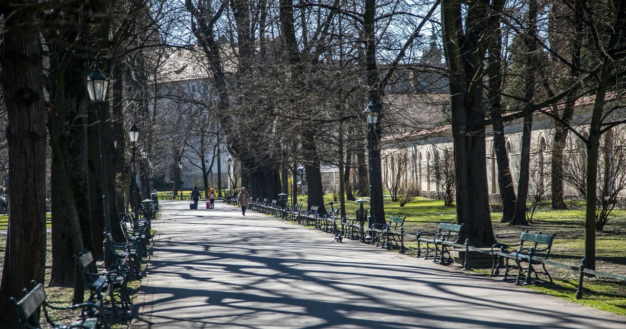 Krakowskie Planty przejdą metamorfozę
