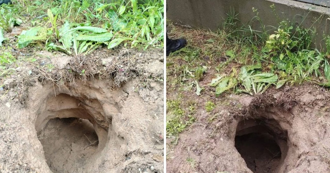 Migranci nie odpuszczają. Podkopali się pod zaporą na granicy