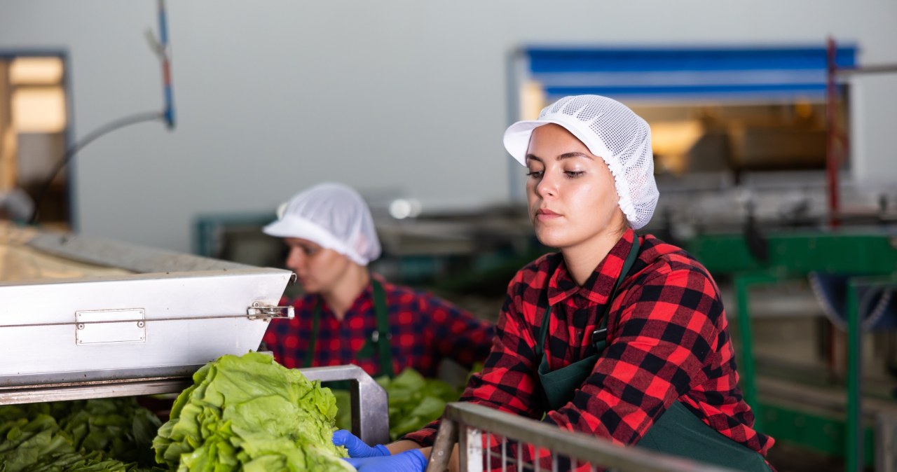 ​Stopa bezrobocia w Polsce ani drgnie