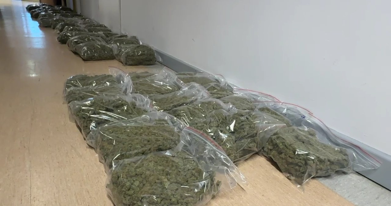 ​71 kilogramów narkotyków, luksusowe auta i fałszywe dokumenty. "Duch" zatrzymany