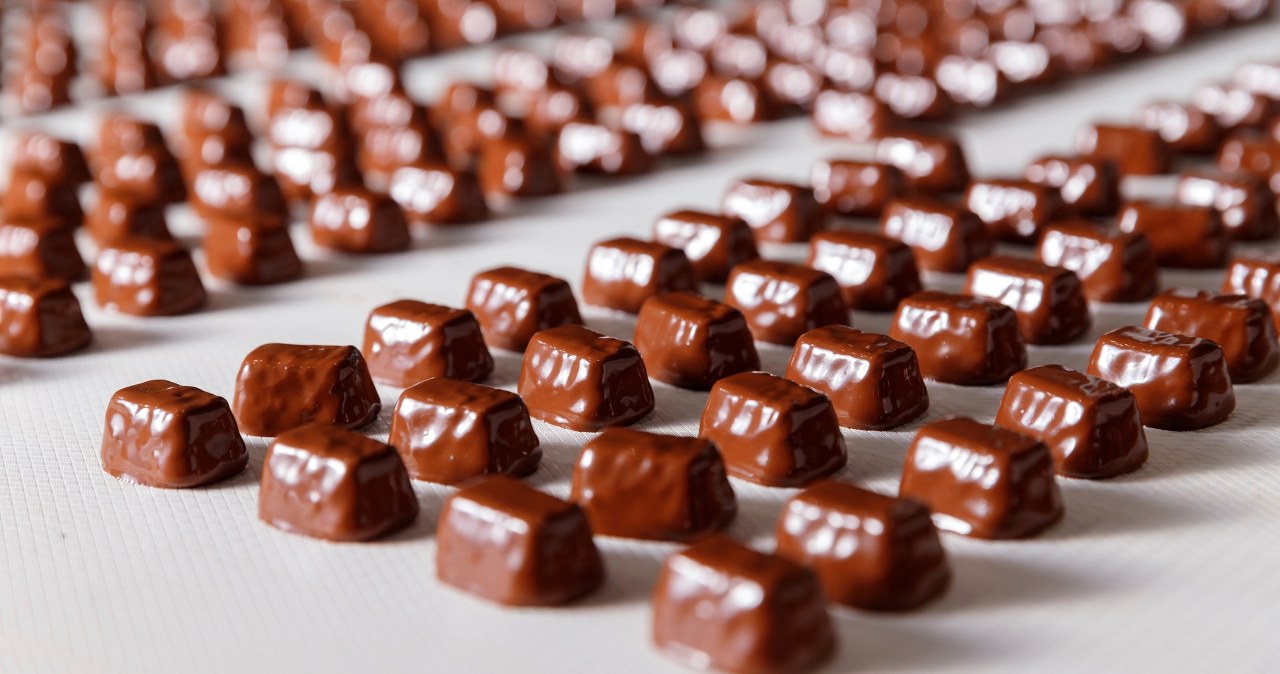 Słodki biznes w służbie armii. "Pszczółka" będzie produkowała dla NATO?