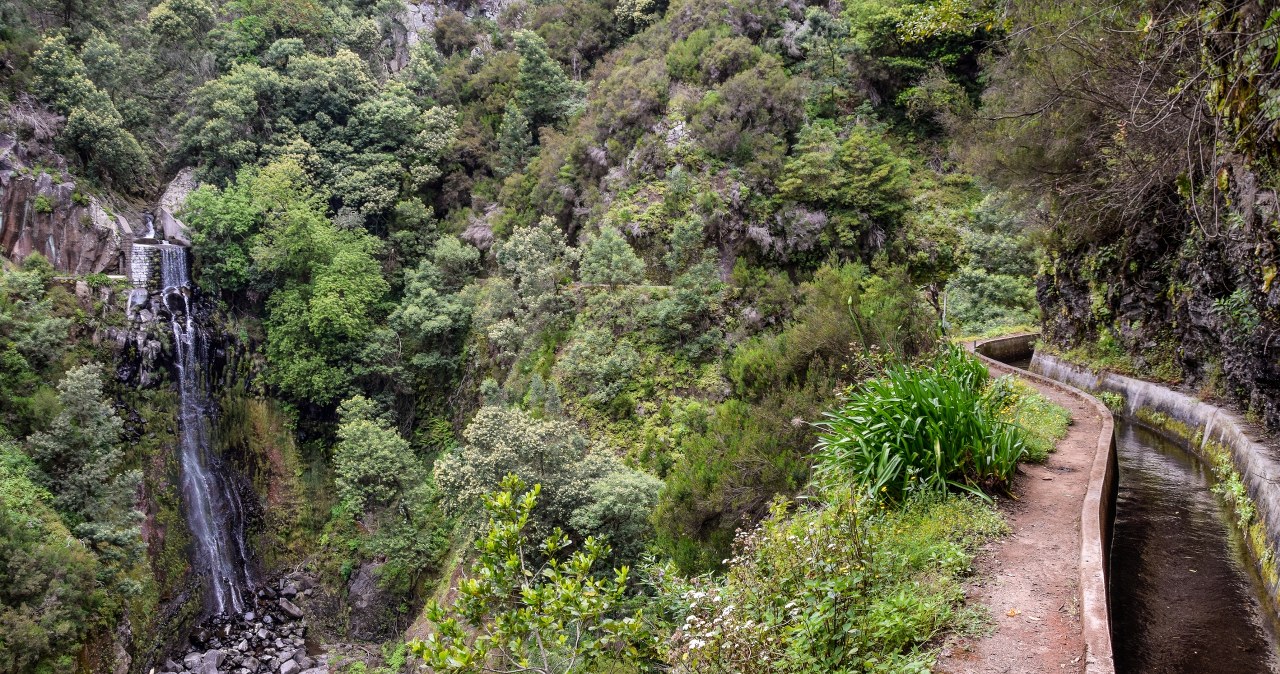 Policja leśna i drony. Kolejny dzień poszukiwań 31-letniego Polaka na Maderze