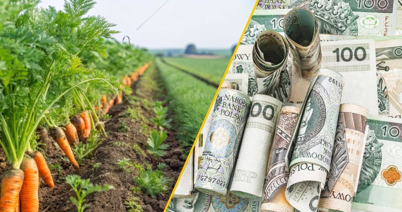 Nie przegap. Zgarnij nawet 120 tys. zł wsparcia