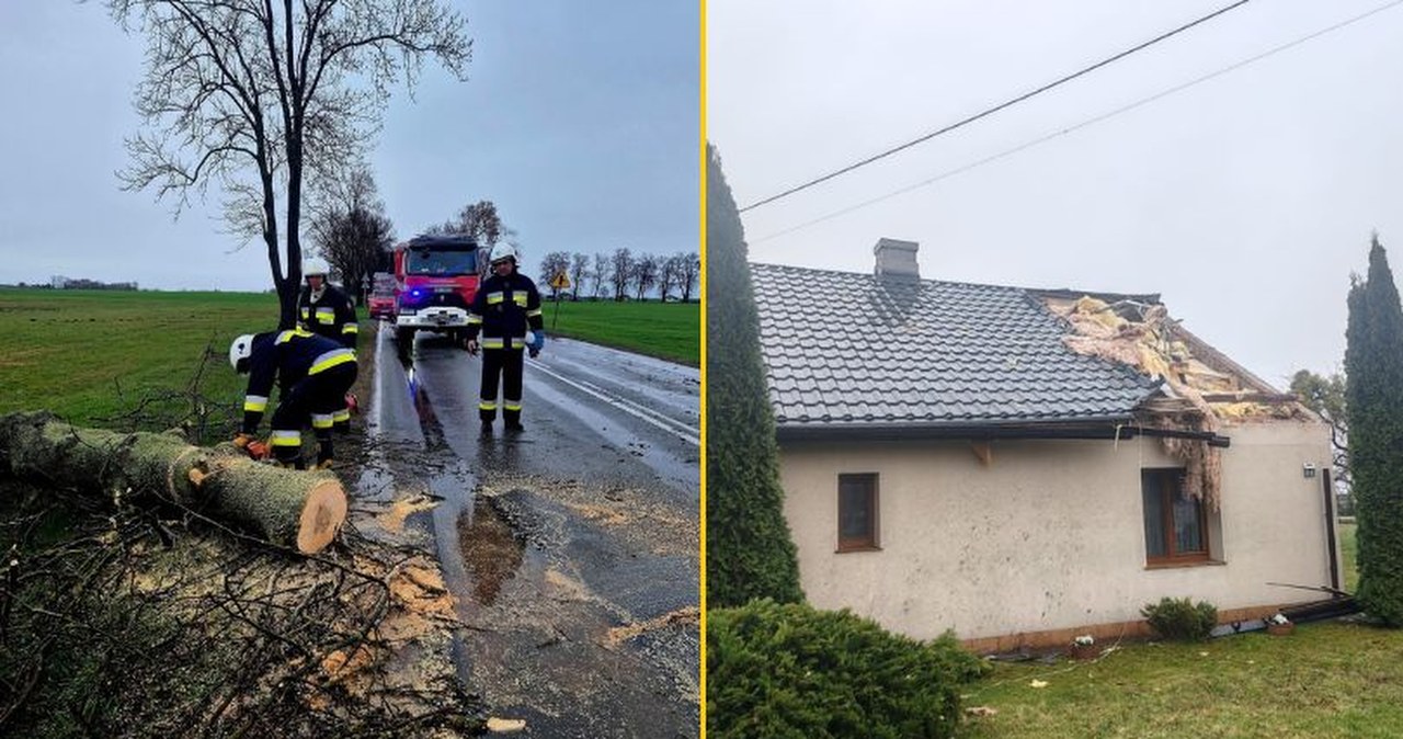 Powalone drzewa, nadłamane konary. Pracowite święta strażaków
