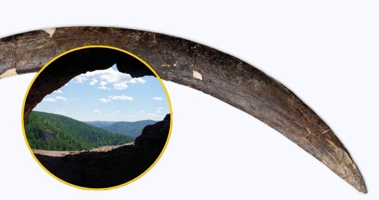 Naukowa rewelacja. Najstarszy bumerang świata znaleziony w Polsce?