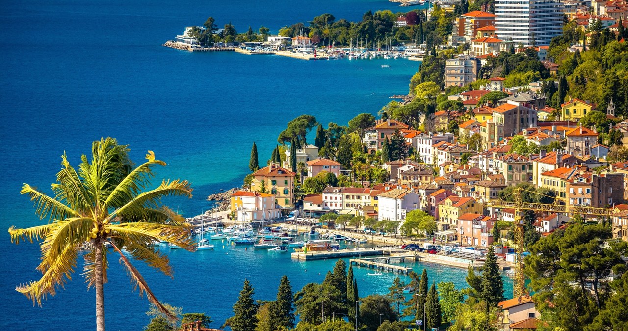 To był hit tegorocznych wakacji. Popularne połączenie ma wrócić