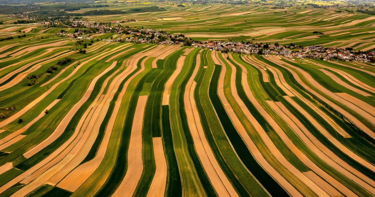 To miejsce podbija internet! Zobacz najbardziej fotogeniczną wieś w Polsce