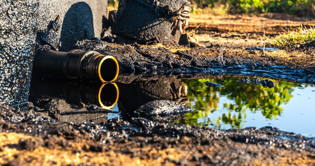 Ropa naftowa na działce rolnej. Na Mazowszu doszło do wycieku