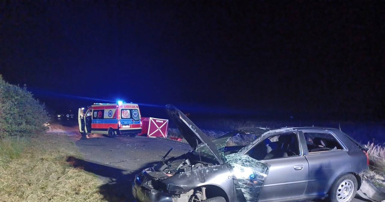 Tragedia na drodze. Kierowca wyrzucony z auta, zderzył się z sarną