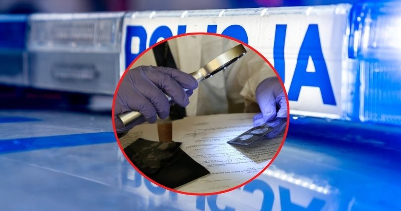 Skandal we wrocławskiej policji. Była pracownica oskarżona o udział w piramidzie finansowej