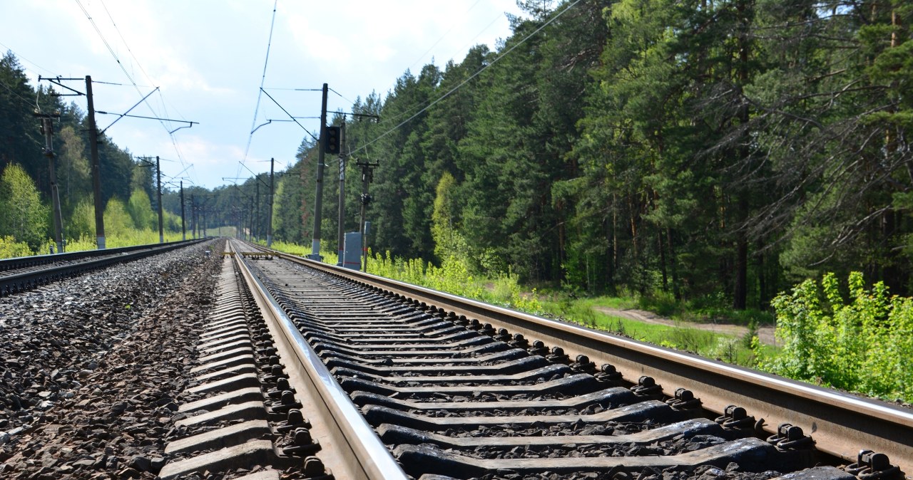 Dwa pociągi zderzyły się na Słowacji