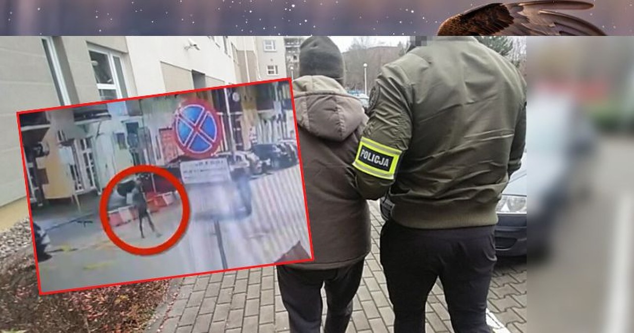 Potrącił pieszego i uciekł. Szokujące zachowanie 80-letniego kierowcy z Warszawy