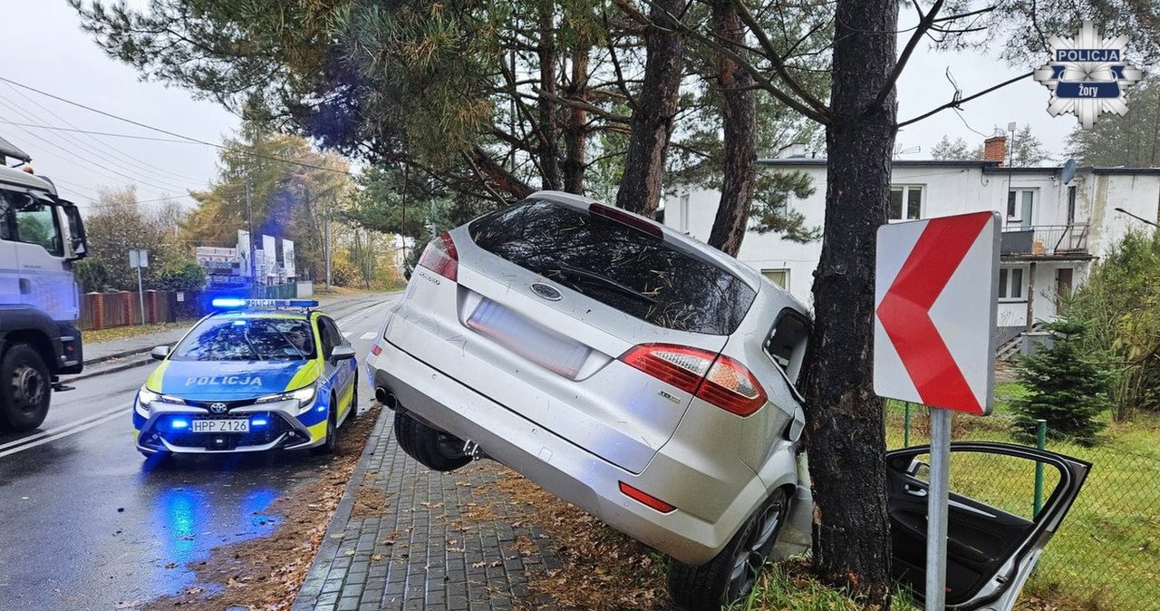 Pijany Ukrainiec zatrzymał się na drzewie. Tłumaczył, że "rano wypił jedno piwo"
