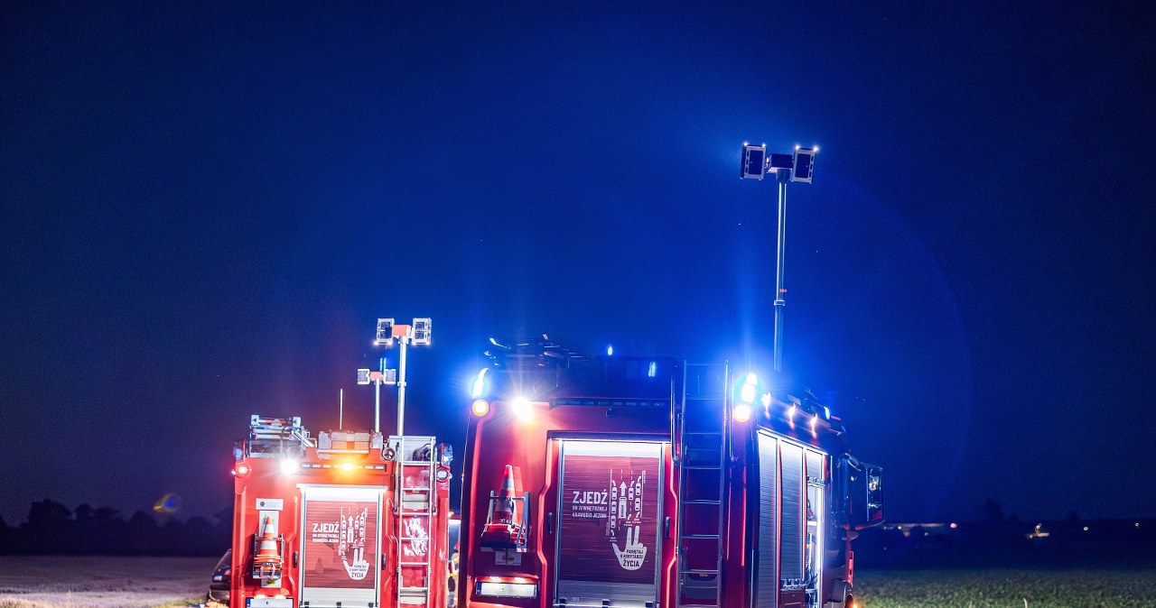 Makabryczny wypadek. Auto wbiło się w kłody drewna, zginęła 11-latka