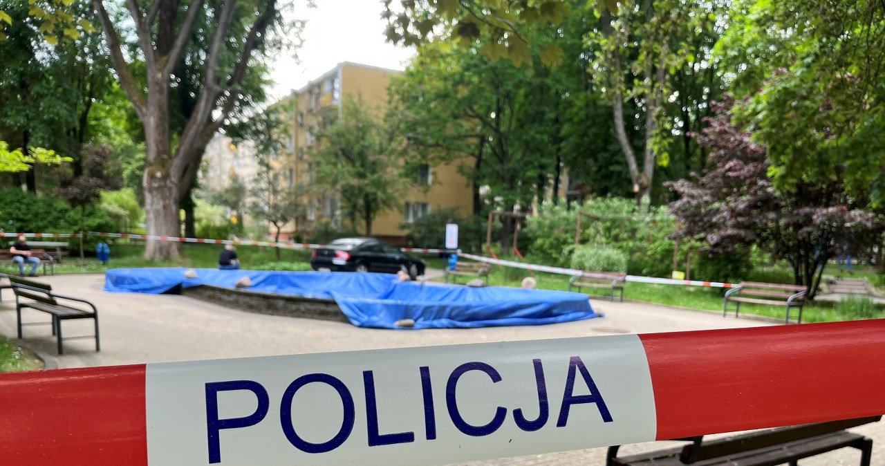 Dziesiątki martwych ptaków w fontannie. Akcja służb w Lublinie