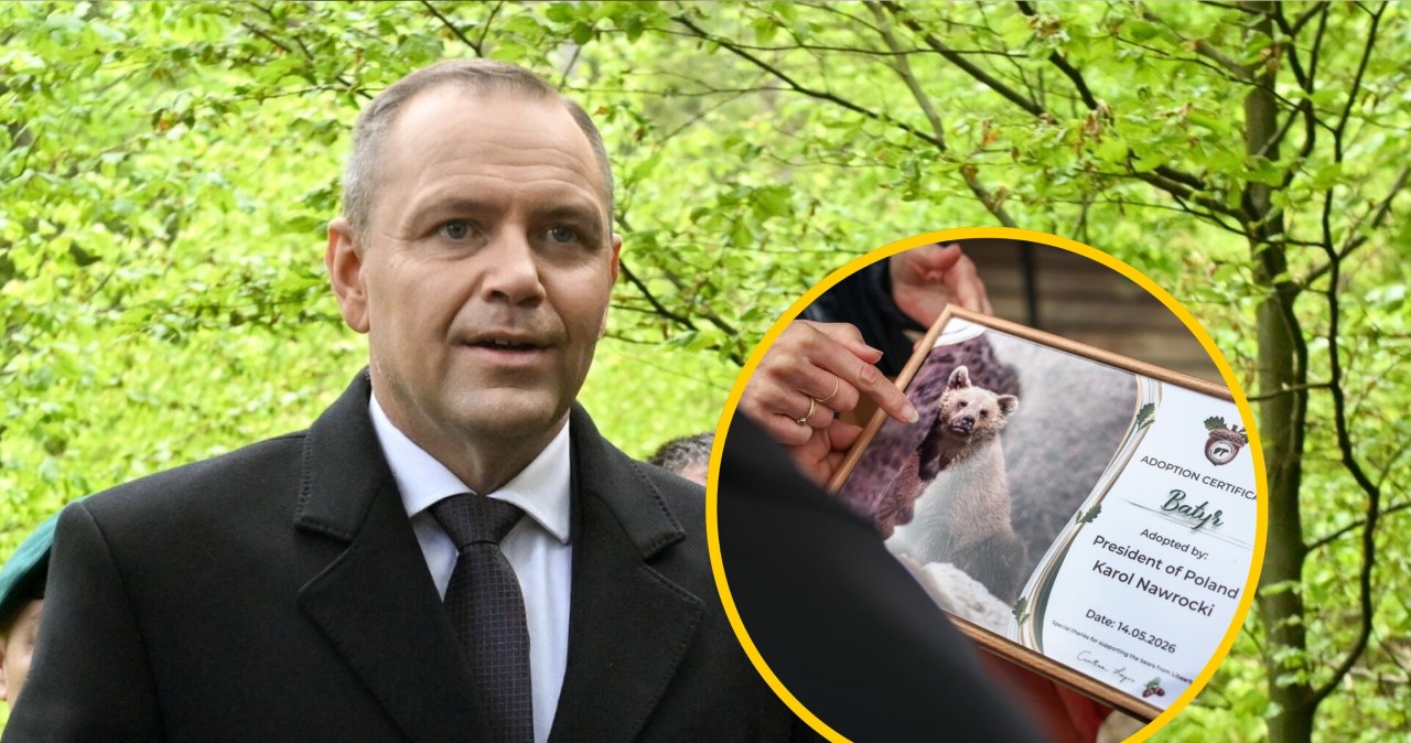 Prezydent Nawrocki zaadoptował niedźwiedzia. "Miś Batyr"