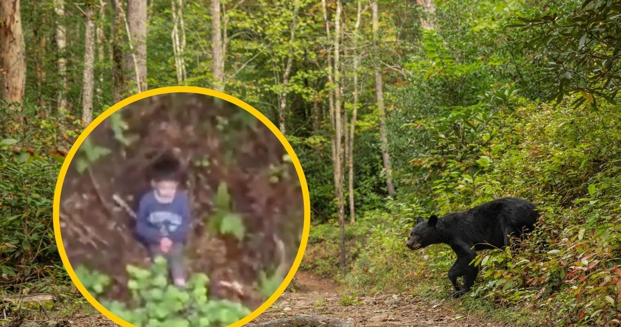 Przeżył trzy dni w lesie pełnym niedźwiedzi. Niewiarygodna historia 5-letniego Alexa