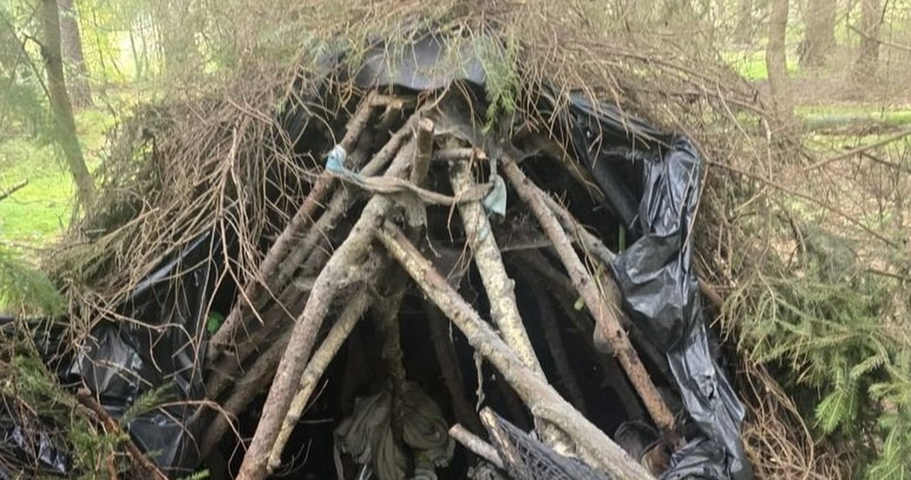 Dwa lata ukrywał się w lesie. Policjantka poraniona nożem