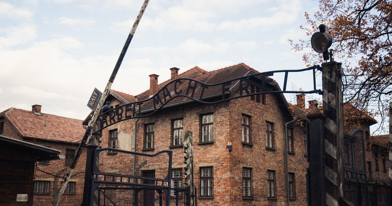 ​Dokumenty z Auschwitz znikają. "Domy aukcyjne nie kierują się moralnością"