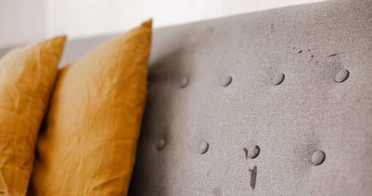 Porzucona sofa, która przyciąga tłumy. Jak stała się atrakcją turystyczną?