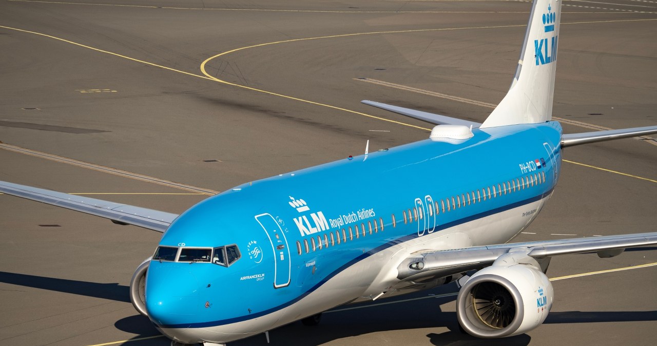 Ponad 250 pasażerów utknęło na Karaibach. Wszystko przez szczura