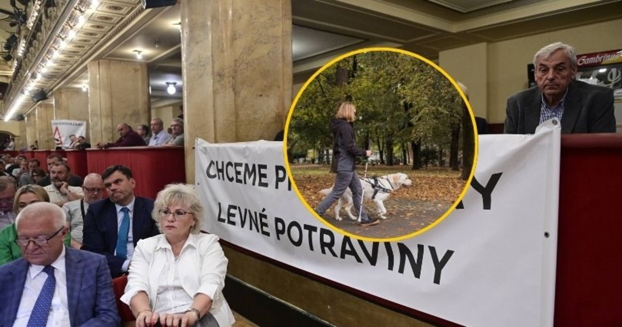 "Kiedy załatwisz, żeby zastrzelili jej tego psa?". Skandal z udziałem posłanki w Czechach