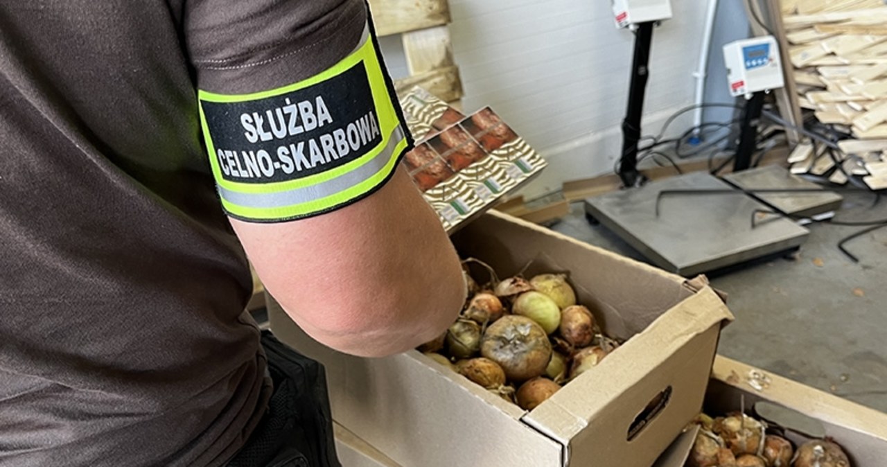 Papierosy ukryte w cebuli i burakach. Gigantyczny przemyt udaremniony w Polsce