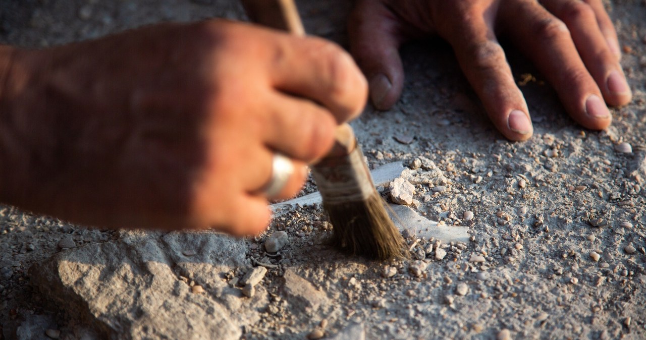 Sensacja archeologiczna. Znaleziono ruiny miasta sprzed 3500 lat