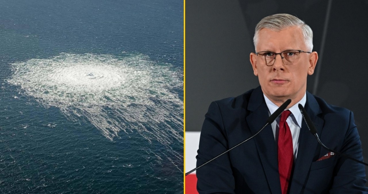 Oświadczenie Alternatywy dla Niemiec wywołało reakcję BBN-u. Chodzi o Nord Stream