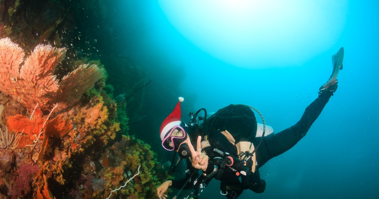 Świąteczne życzenia z głębin. Przystrojona choinka na dnie jeziora