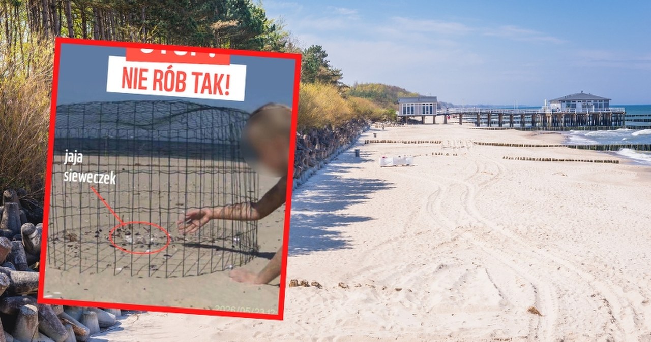 Na polskich plażach możesz natknąć się na nietypowe kosze. Nie dotykaj i nie podchodź