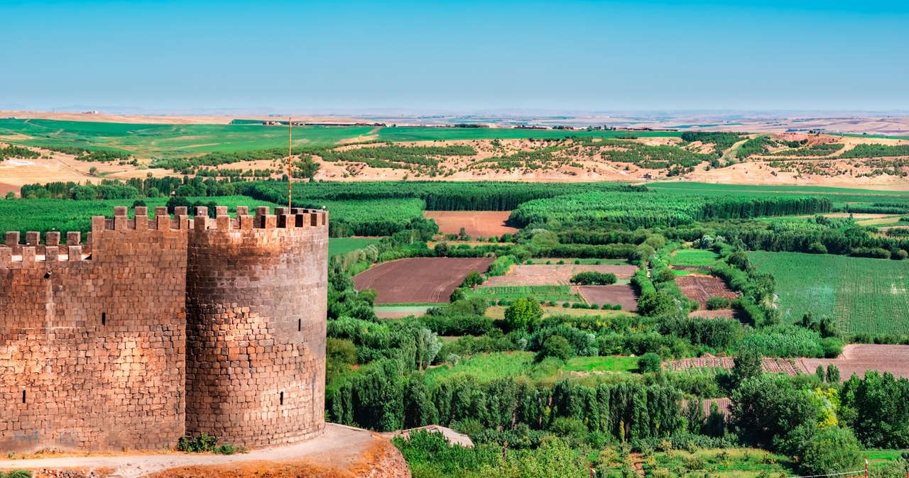Ogromna plantacja konopi na terenie obiektu z listy UNESCO