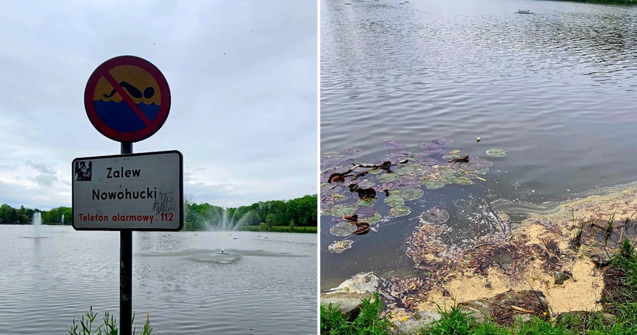 Planują wielkie sprzątanie Zalewu Nowohuckiego. Naukowcy mają wątpliwości